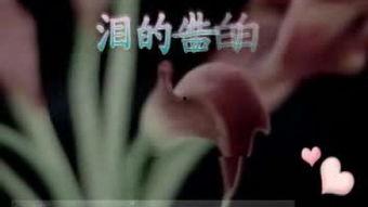 国产3p对白在线视频,揭秘激情四溢的私密世界